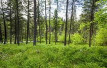 616 Ranch Road, Bigfork