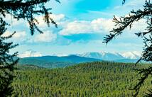 31 Forest Path Drive, Whitefish