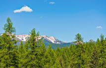 300 Lindsey Lane, Kalispell