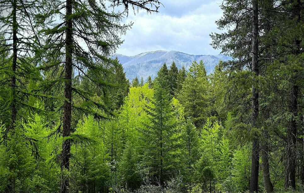 Nhn Lagoon Drive, Trego