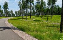 284 Layton Road, Whitefish