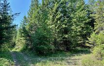 Nhn Mcmannamy Draw, Kalispell