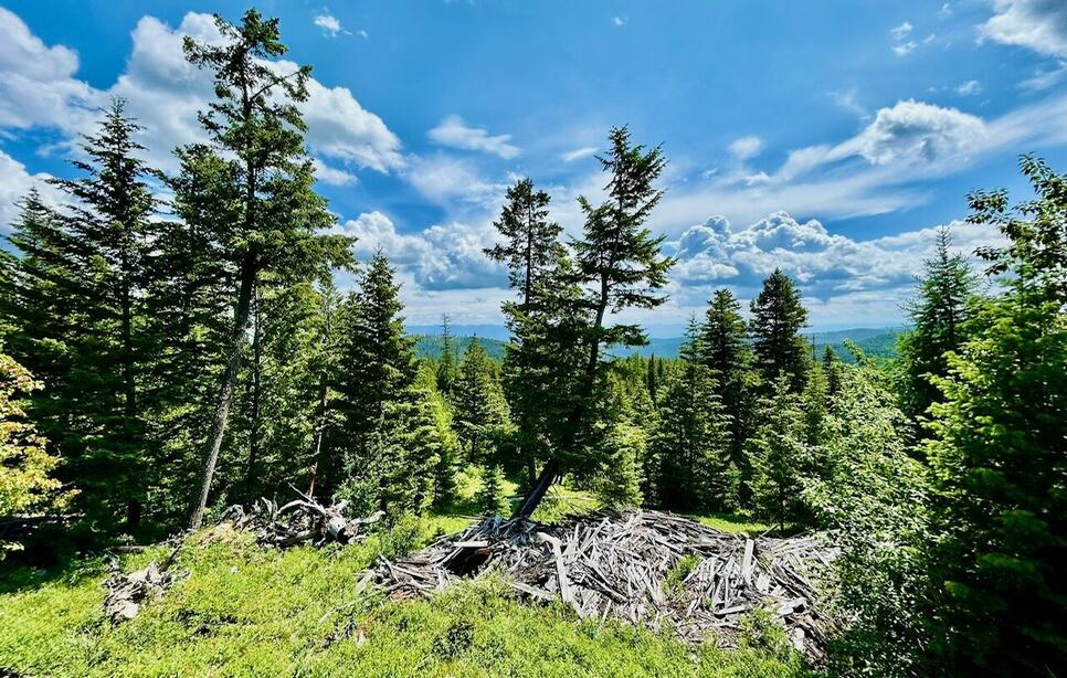 Nhn Mcmannamy Draw, Kalispell