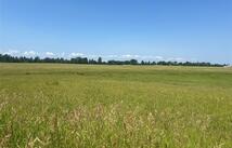 1330 Quail Ridge Drive, Kalispell