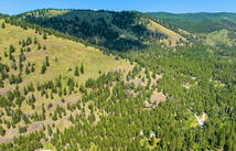 1805 Emmons Canyon Road, Kila