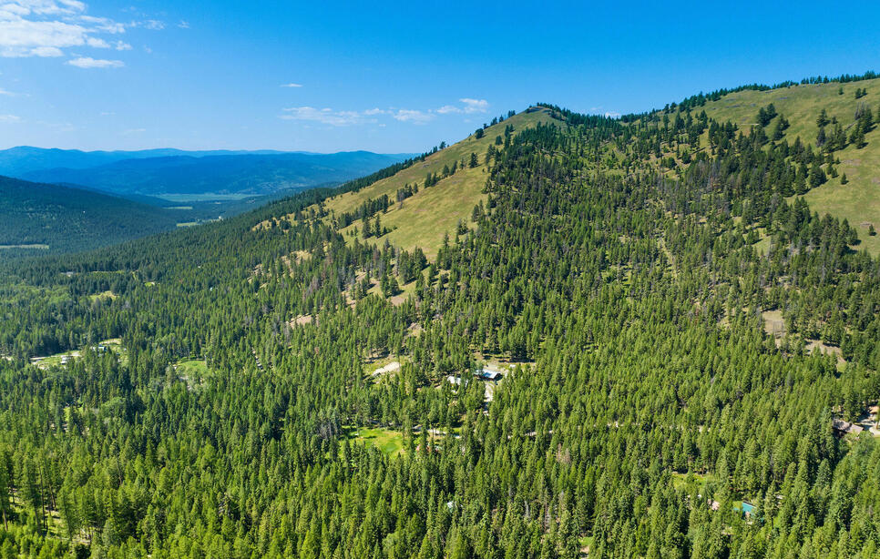 1805 Emmons Canyon Road, Kila