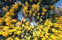 238 Cedar Hills Lane, Trego