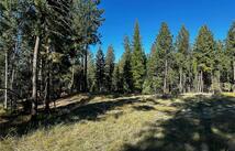 150 Coffee Drive, Eureka