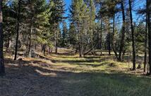 150 Coffee Drive, Eureka