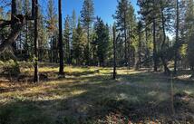 150 Coffee Drive, Eureka