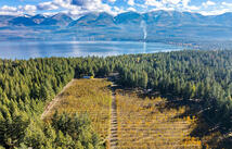 34310 Sweet Cherry Lane, Polson