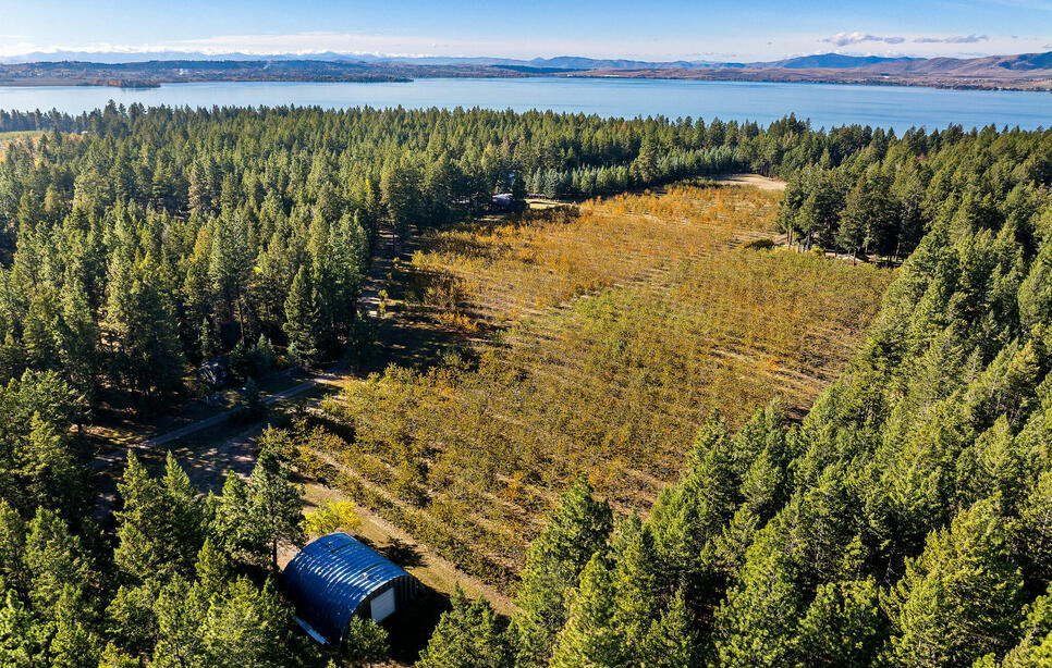 34310 Sweet Cherry Lane, Polson