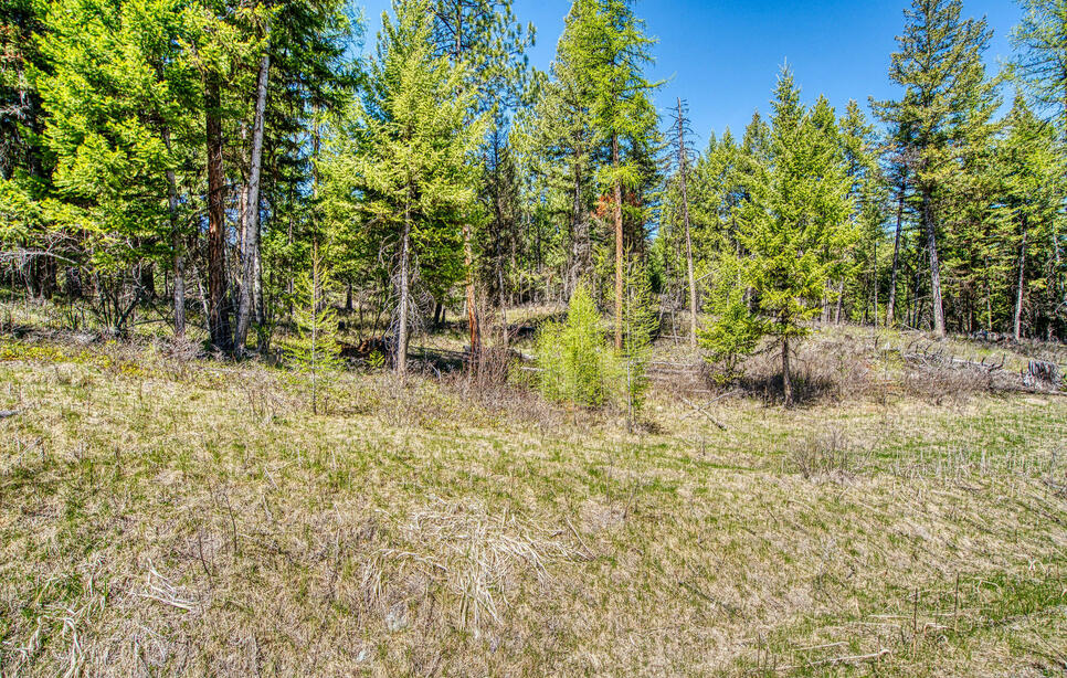 80 Blaney Lane, Kila