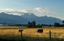 719 1/2 5th Avenue Sw, Ronan