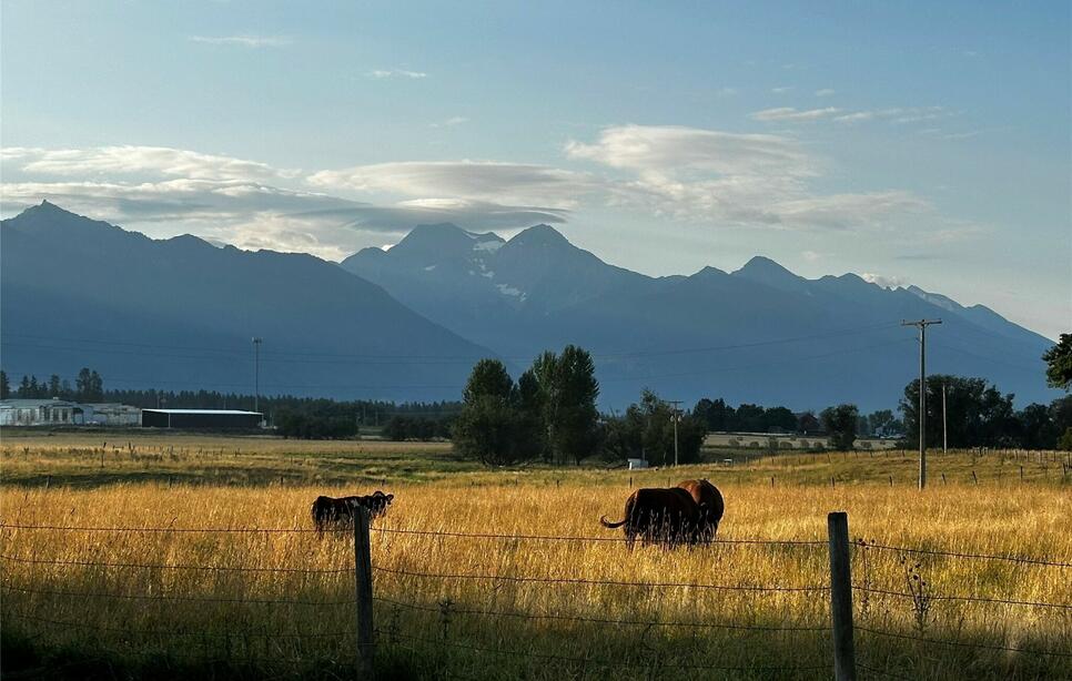 719 1/2 5th Avenue Sw, Ronan