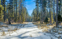 Dayton Creek Road Lot 7, Proctor