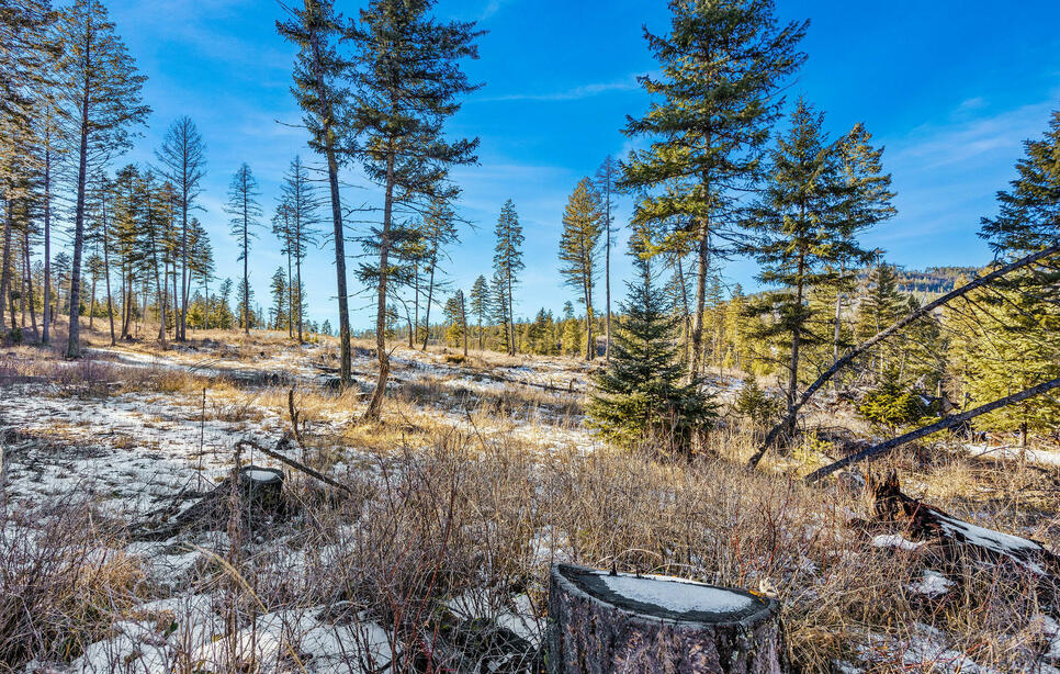 Dayton Creek Road Lot 7, Proctor