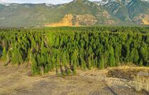 50 Wood Ridge Drive, Columbia Falls