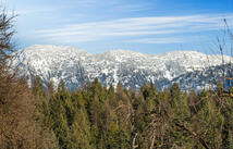 203 Muth Lane, Kalispell