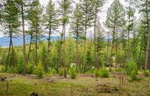 Lot 7 Tobacco Valley View Road, Eureka