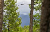 Lot 7 Tobacco Valley View Road, Eureka