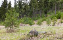 Lot 7 Tobacco Valley View Road, Eureka