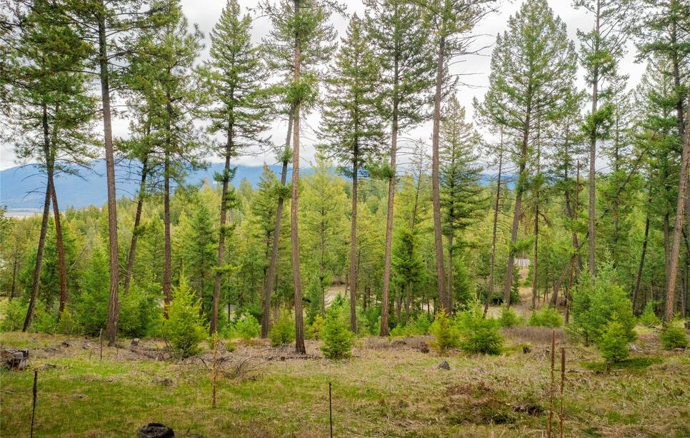 Lot 7 Tobacco Valley View Road, Eureka