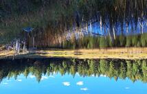 746 Evergreen Drive, Eureka