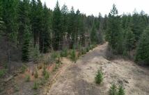 Tbd Bent Pine Lane, Kila