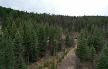 Tbd Bent Pine Lane, Kila