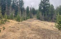 Tbd Bent Pine Lane, Kila