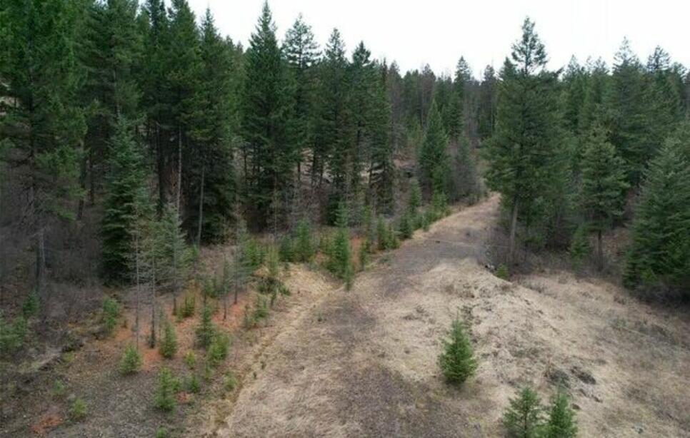 Tbd Bent Pine Lane, Kila