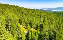 2255 Ashley Lake Road, Kalispell