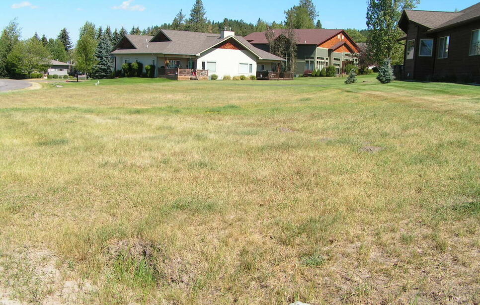 201 Bridger Drive, Bigfork
