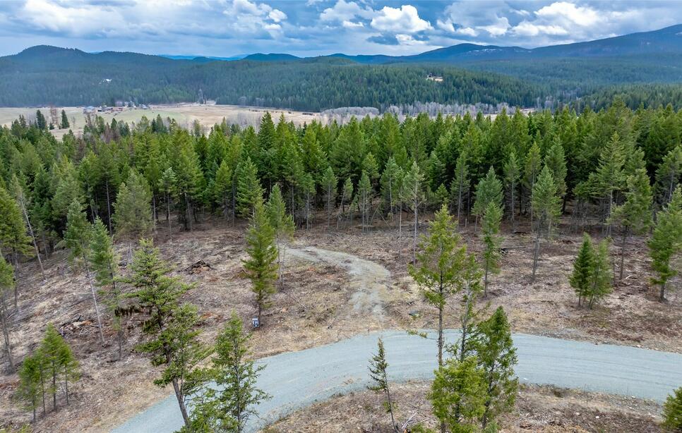 Osprey Loop, Eureka