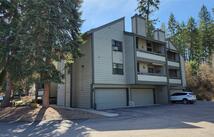 270 Bridge Street Lakeview 1, Bigfork
