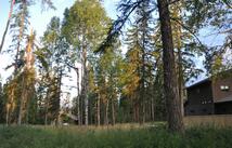 181 Mountain Brook Lane, Whitefish