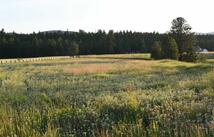 245 Shepherd Trail, Kalispell