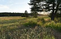 245 Shepherd Trail, Kalispell