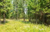 Nhn Bowdish Road, Kalispell