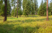 Nhn Bowdish Road, Kalispell