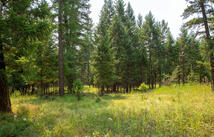 Nhn Bowdish Road, Kalispell