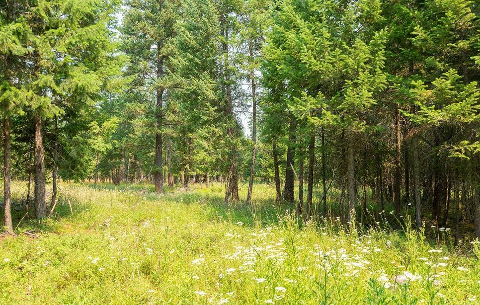 Nhn Bowdish Road, Kalispell