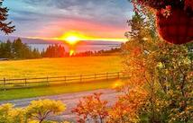 165 Sylvan Drive, Bigfork