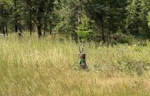 517 Haskill Ranch Road 7.5 Acres Includes Well, Kila