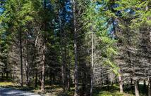 Lot 1 Tobacco Road, Eureka