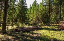 Lot 1 Tobacco Road, Eureka