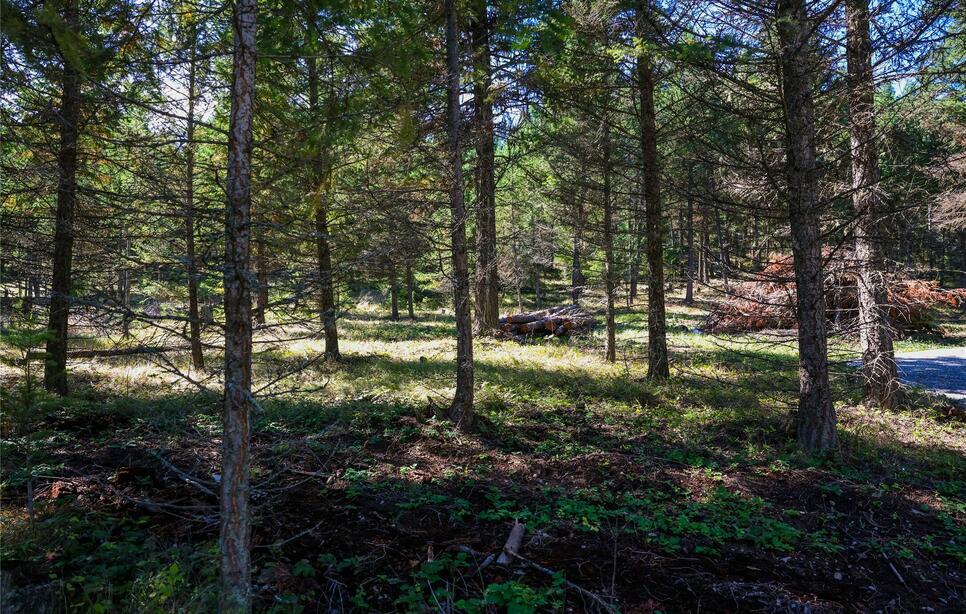Lot 1 Tobacco Road, Eureka