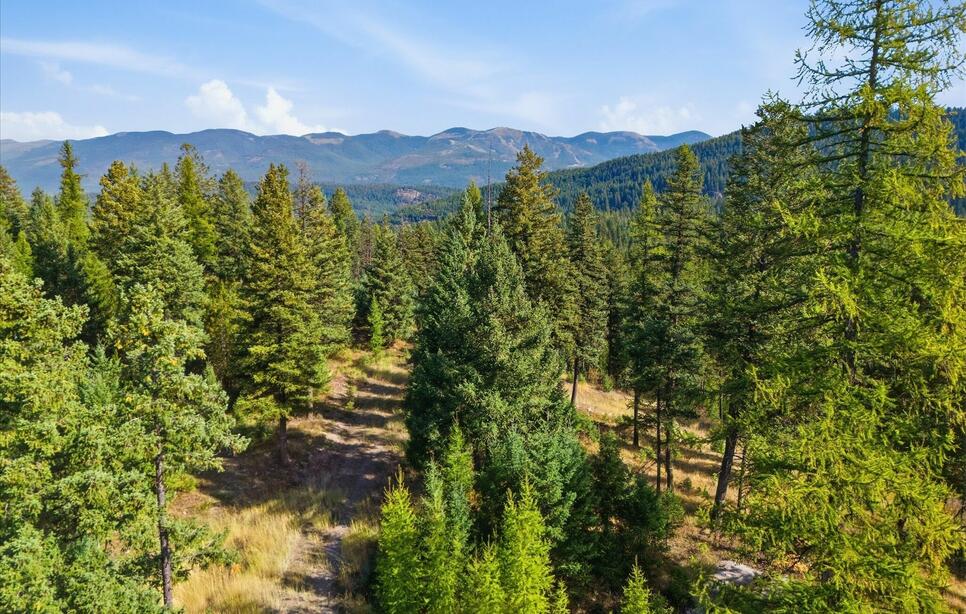 1215 Hideaway Lane, Whitefish