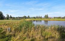 1427 Lake Pointe Drive, Bigfork